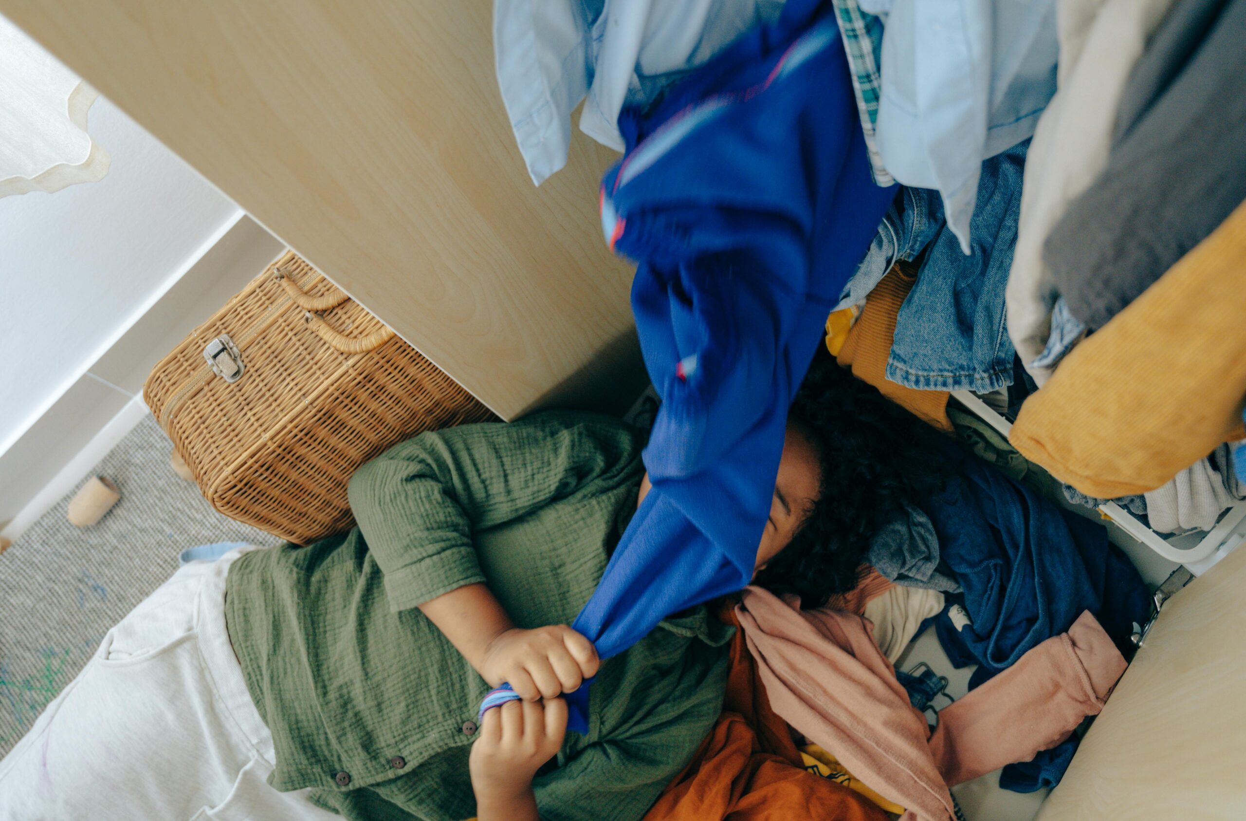 Destralhe da Casa: O Guia Completo para Organizar a Mente e o Lar